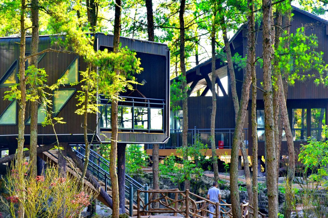 1mc4k12000bba6tu8453C_W_1080_808_R5_D.jpg 1mc4k12000bba6tu8453C_W_1080_808_R5_D.jpg